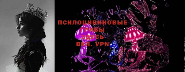 ешки Алексин