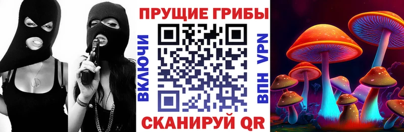 даркнет сайт  Истра  Псилоцибиновые грибы прущие грибы 
