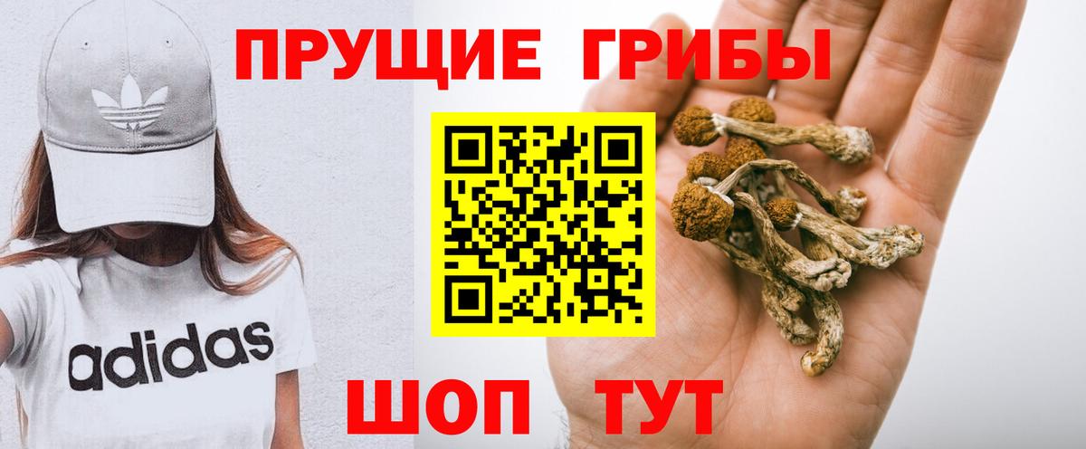 Истра  Псилоцибиновые грибы Psilocybine cubensis  Вход с VPN  Галлюциногенные грибы прущие грибы 