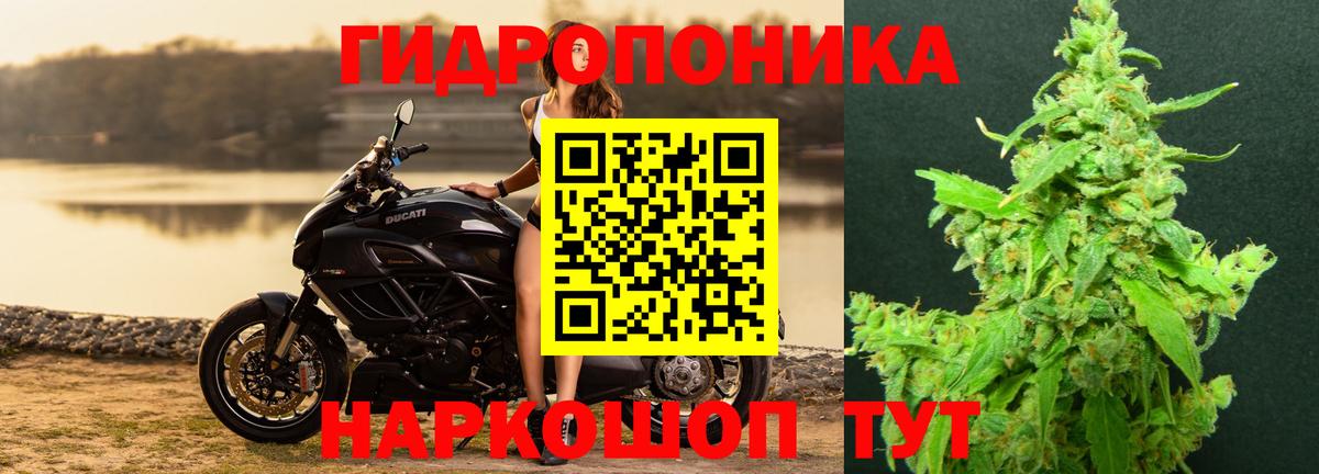 Шишки марихуана Bruce Banner Истра